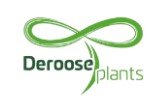 Deroose Plants