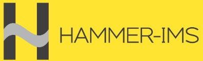 Hammer_IMS2