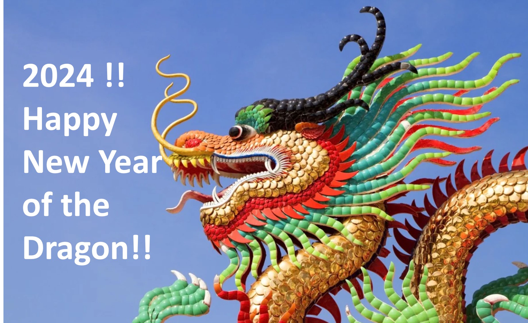 Year of the dragon